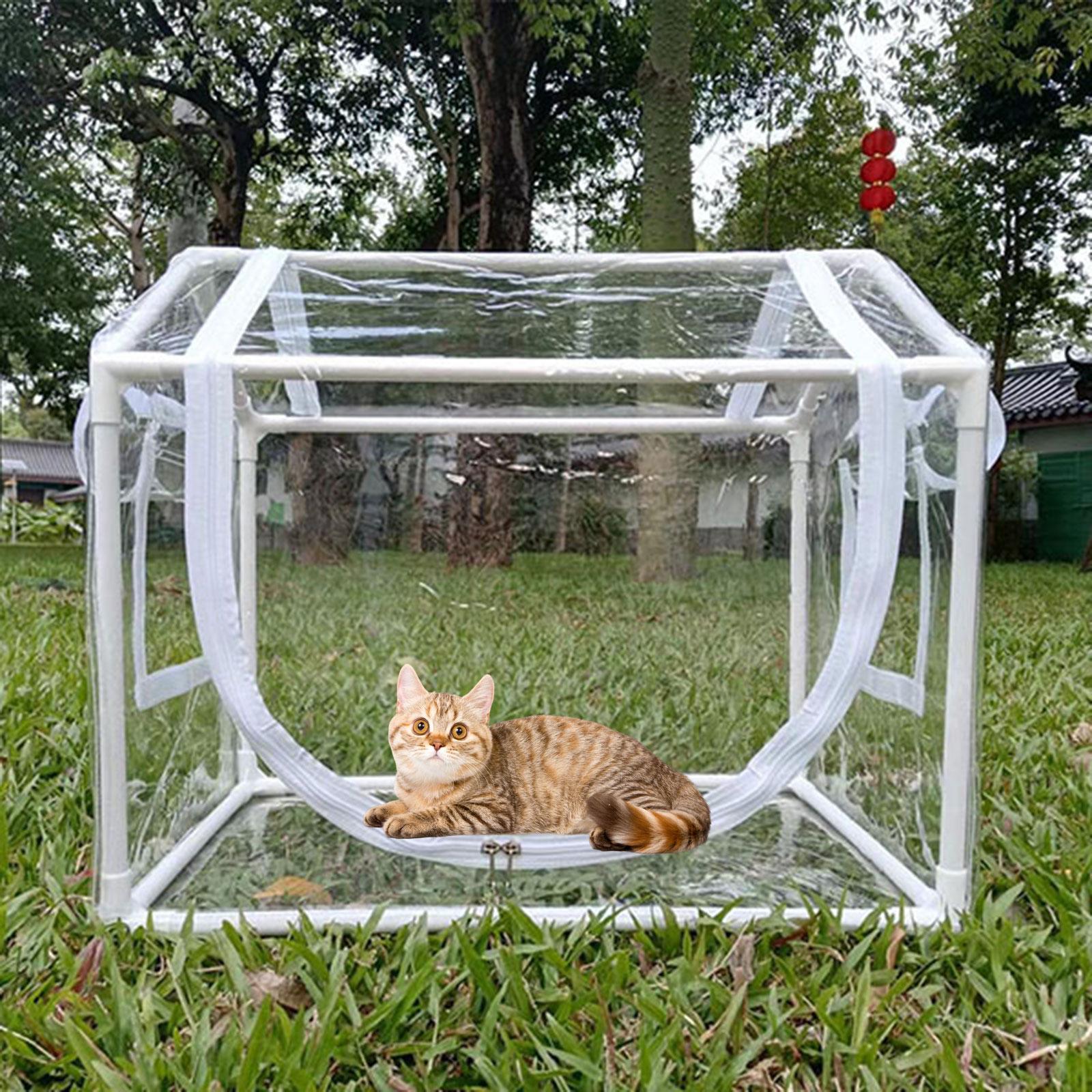 Greenhouse Mini Indoor - 小型PVCミニ温室、耐寒性透明プラントハウス、屋内パティオ、バルコニー、ペット、庭用
