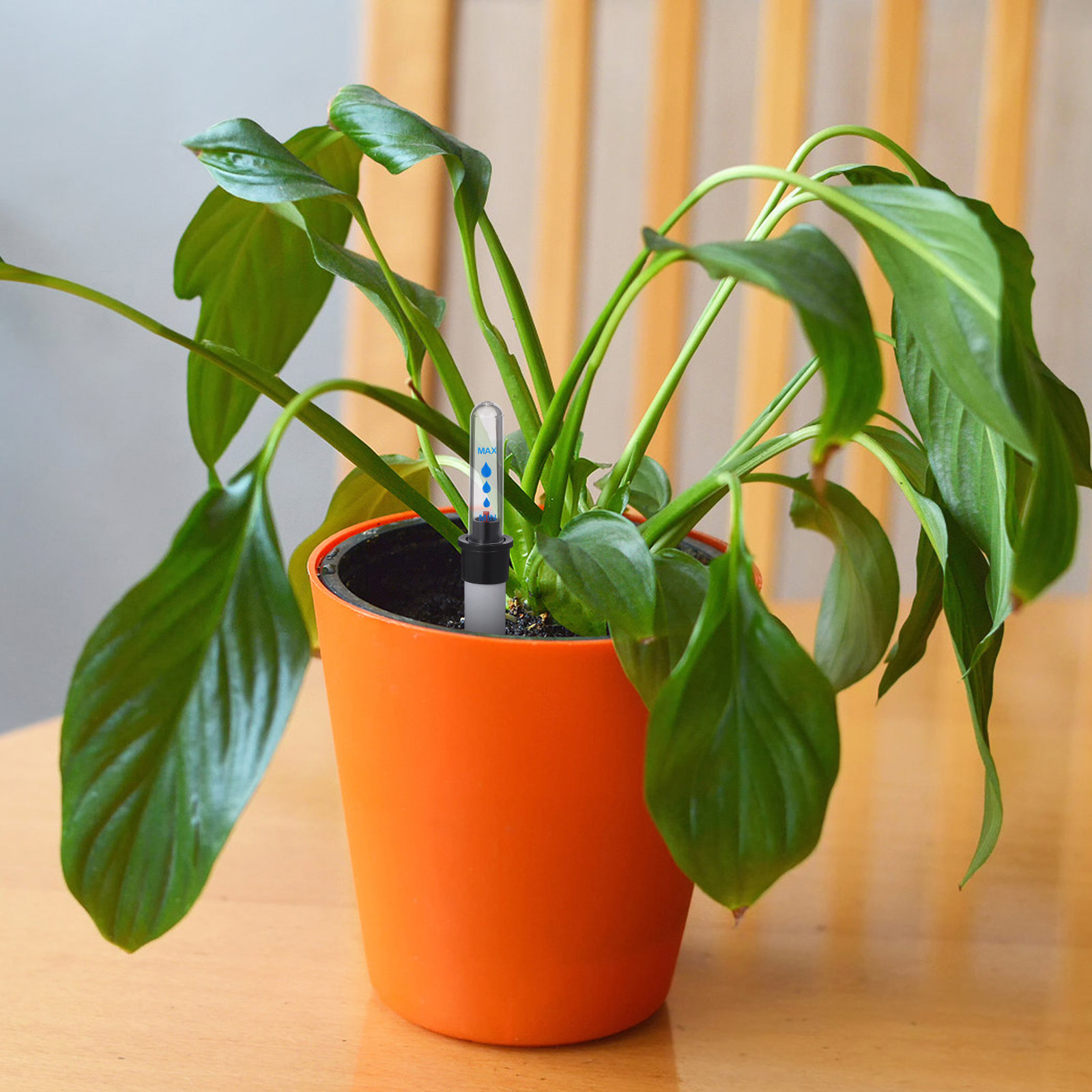 Moisture Meter Plant - 花鉢用の水位計2個セット。植物の水分量を測定し、水やりのタイミングを知らせるインジケーター付き。浮き式で、家庭での使用に最適。
