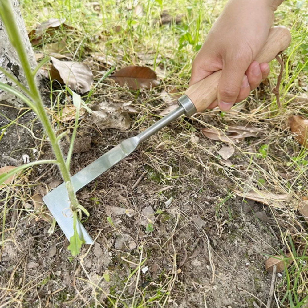 ステンレス鋼の隙間除草ツール、多機能園芸用手工具、庭、テラス - Gardening Tools Used のレビューと価格