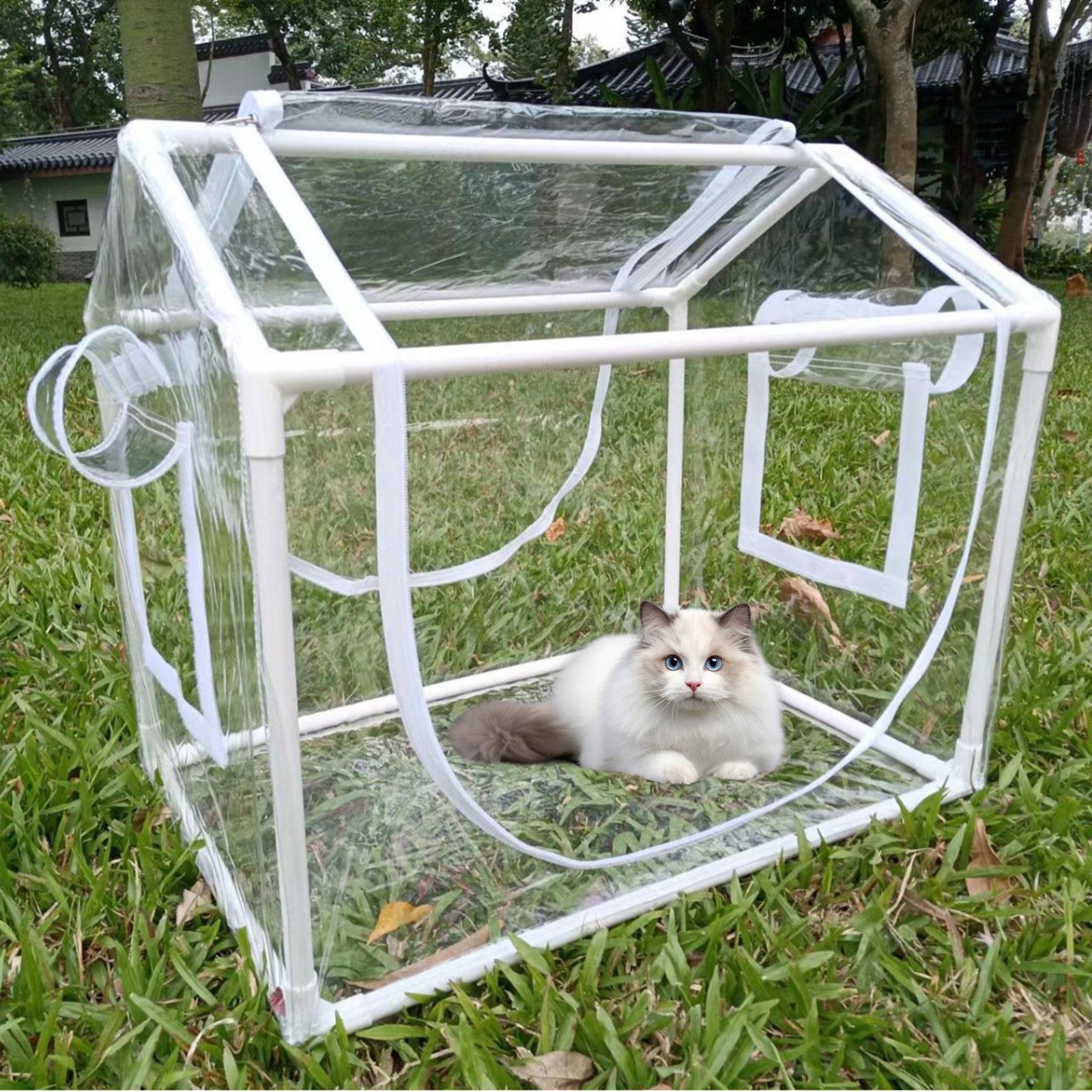小型PVCミニ温室、耐寒性透明プラントハウス、屋内パティオ、 - Greenhouse Mini Indoor のレビューと価格