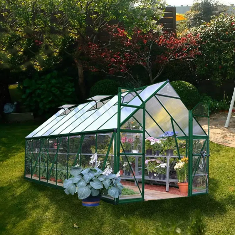 卸売PVC温室キット ミニガーデン温室 屋内外兼用 - Greenhouse Mini Indoor のレビューと価格