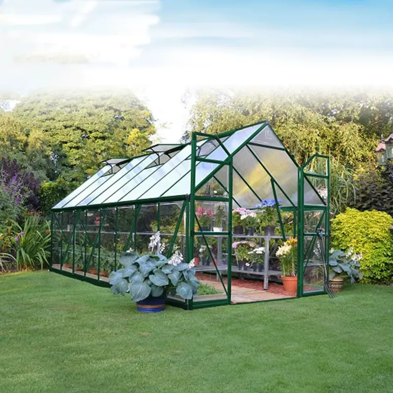 卸売PVC温室キット ミニガーデン温室 屋内外兼用 - Greenhouse Mini Indoor のレビューと価格