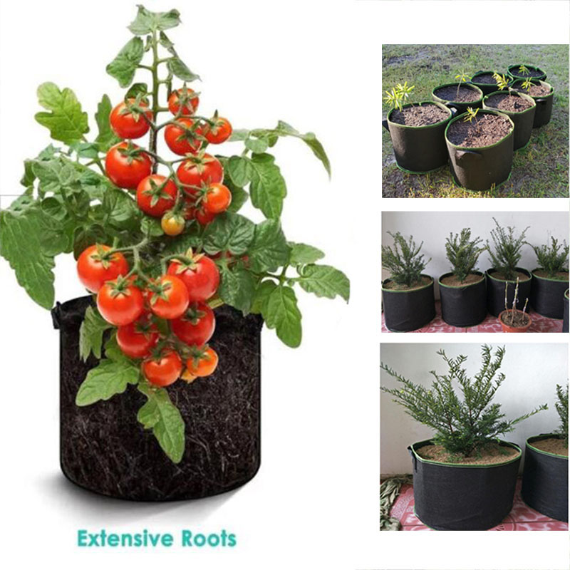 20Gal 成長ポット野菜フラワーバッグガーデニングツール植 - Gardening Tools Big のレビューと価格