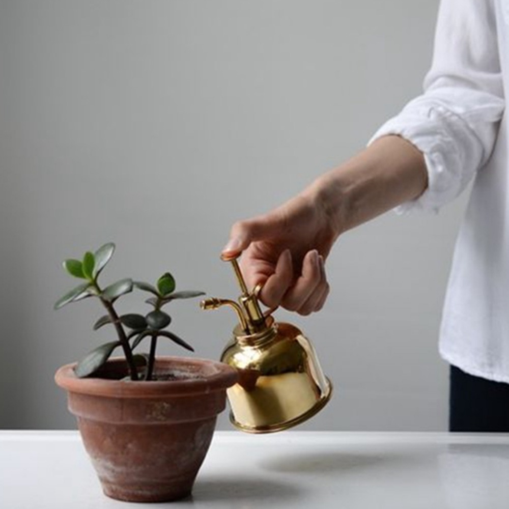 真ちゅう製の水スプレー缶,ヴィンテージの水缶,多肉植物,金の - Gardening Tools Vintage のレビューと価格