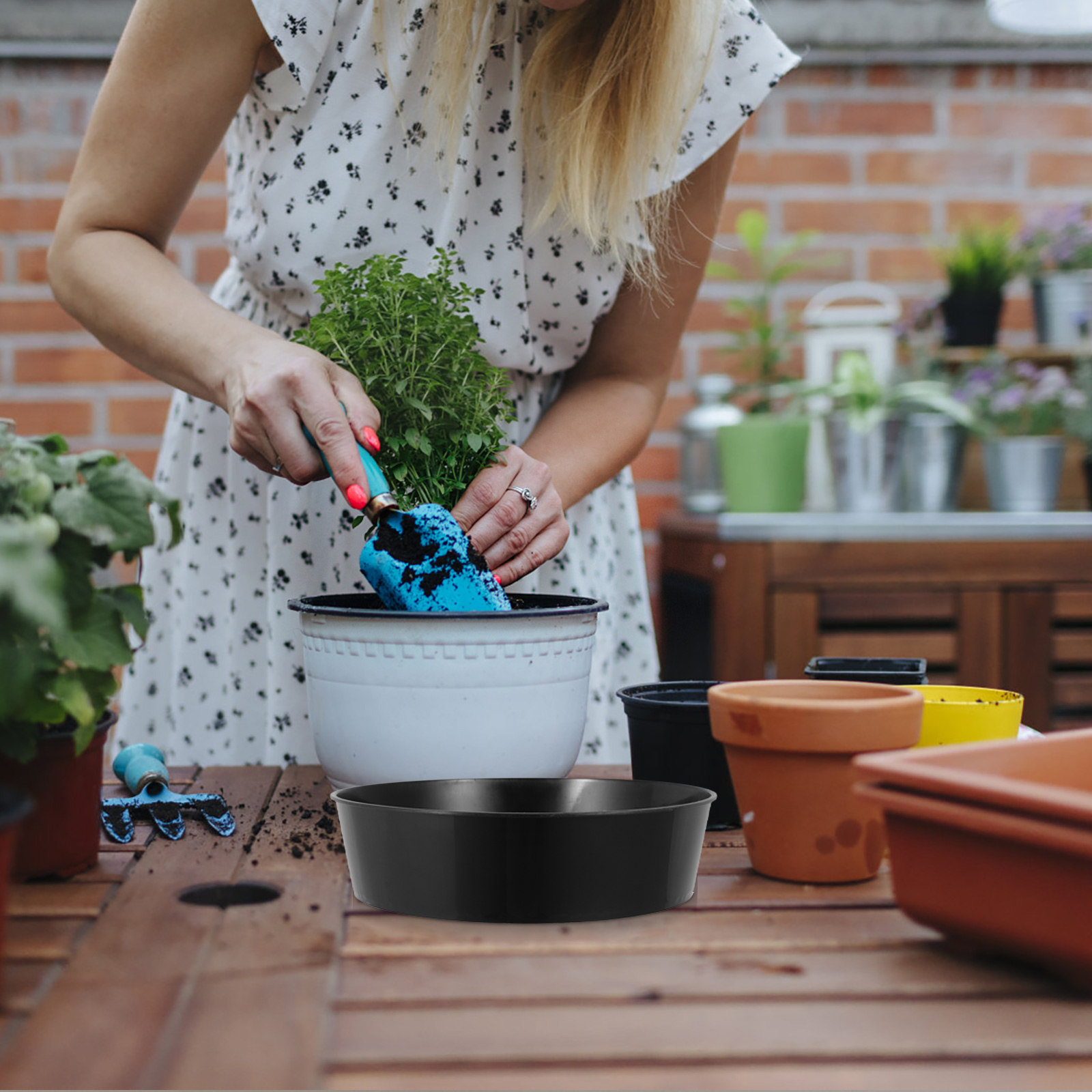 丸型プラスチック製土壌ふるい、ガーデニング用ふるい、効率的な - Garden Sieve Soil のレビューと価格
