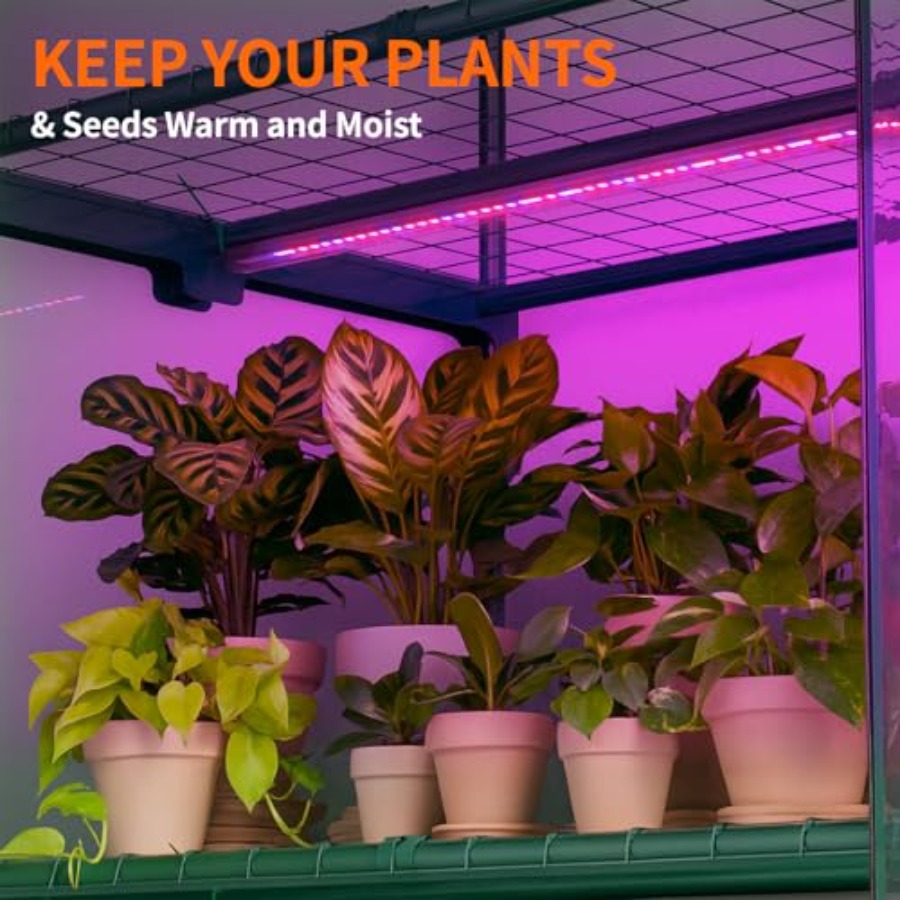 屋内用温室（育成ライト付き）、4段式ミニ温室 - Greenhouse Mini Indoor のレビューと価格