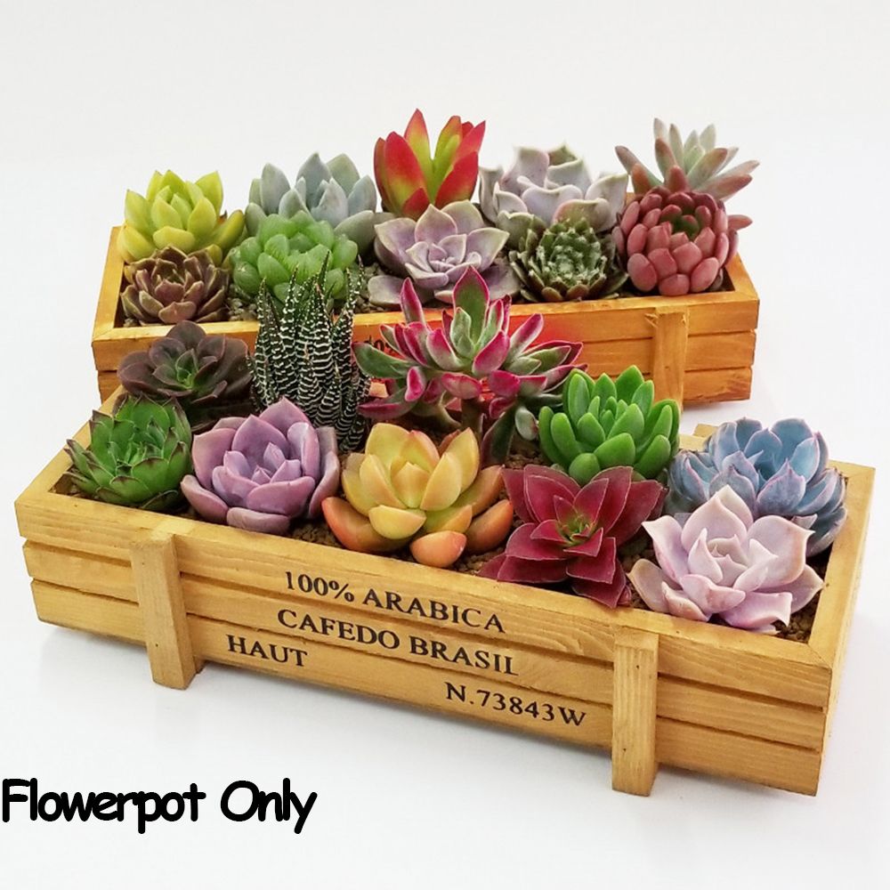 多肉植物用の長方形の装飾ボックス,ヴィンテージの木箱,植木鉢 - Gardening Tools Vintage のレビューと価格