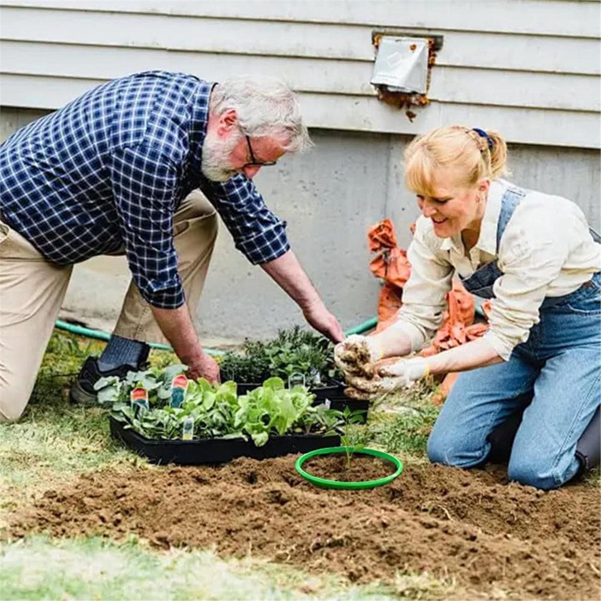 根の水やりや雑草対策に最適な植物保護リング4個セット、永久的 - Gardening Tools Big のレビューと価格