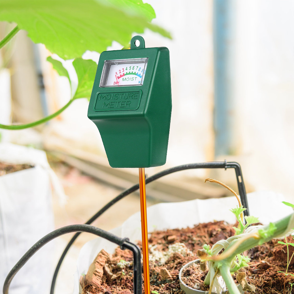 土壌水分計。高精度な水分センサーを搭載し、庭、農場、芝生、屋 - Moisture Meter Plant のレビューと価格